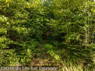 Terre/Terrain