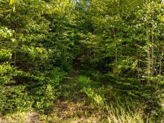 Terre/Terrain