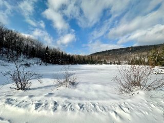 Bord de l'eau