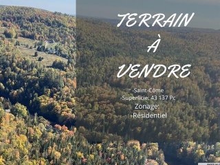 Terre/Terrain