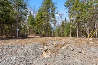 Land/Lot