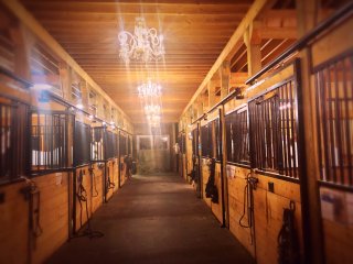 Stable