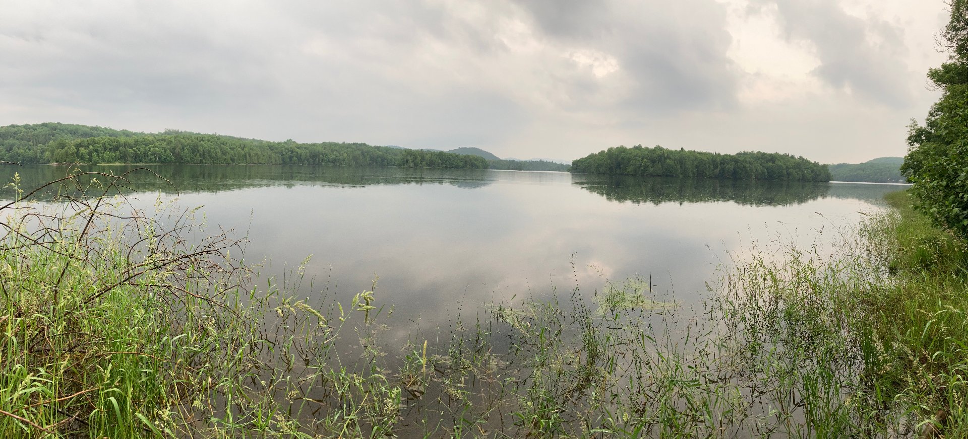 Joelle Bitar / #21005037