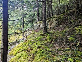 Terre/Terrain