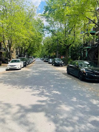 Street
