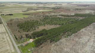 Aerial photo