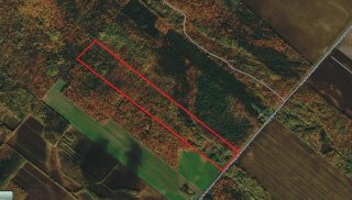 Land/Lot