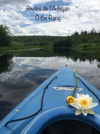 Vue sur l'eau
