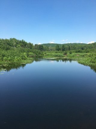 Vue sur l'eau