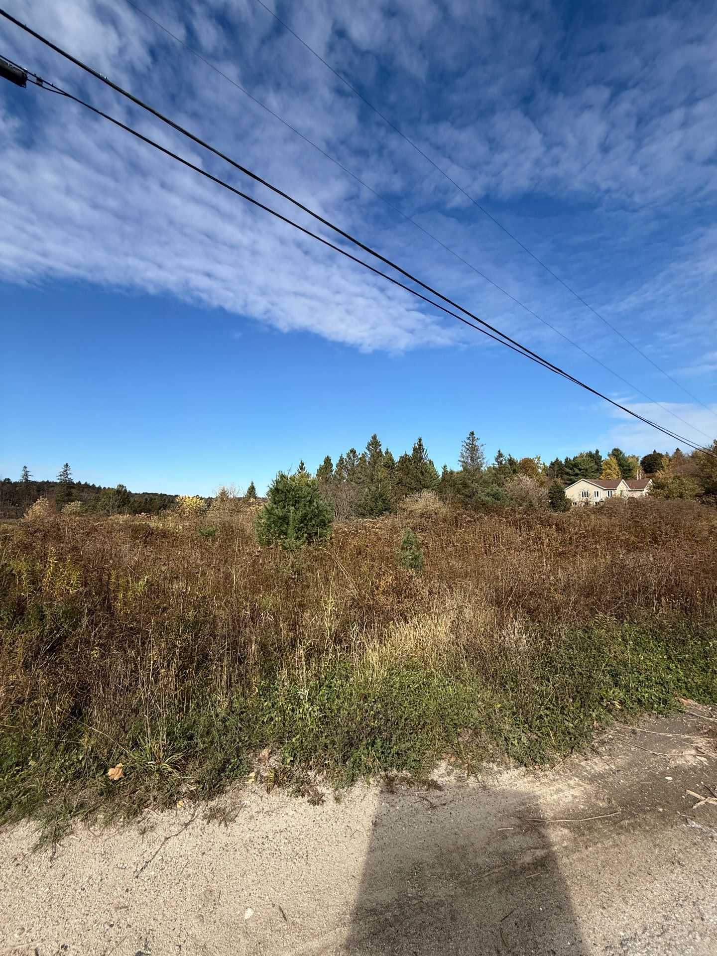 MLS: 21625738
