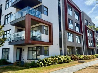 #117 - 6005 Rue de Châteauneuf — photo 1