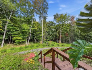 Land/Lot