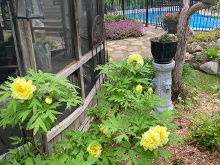 Jardin