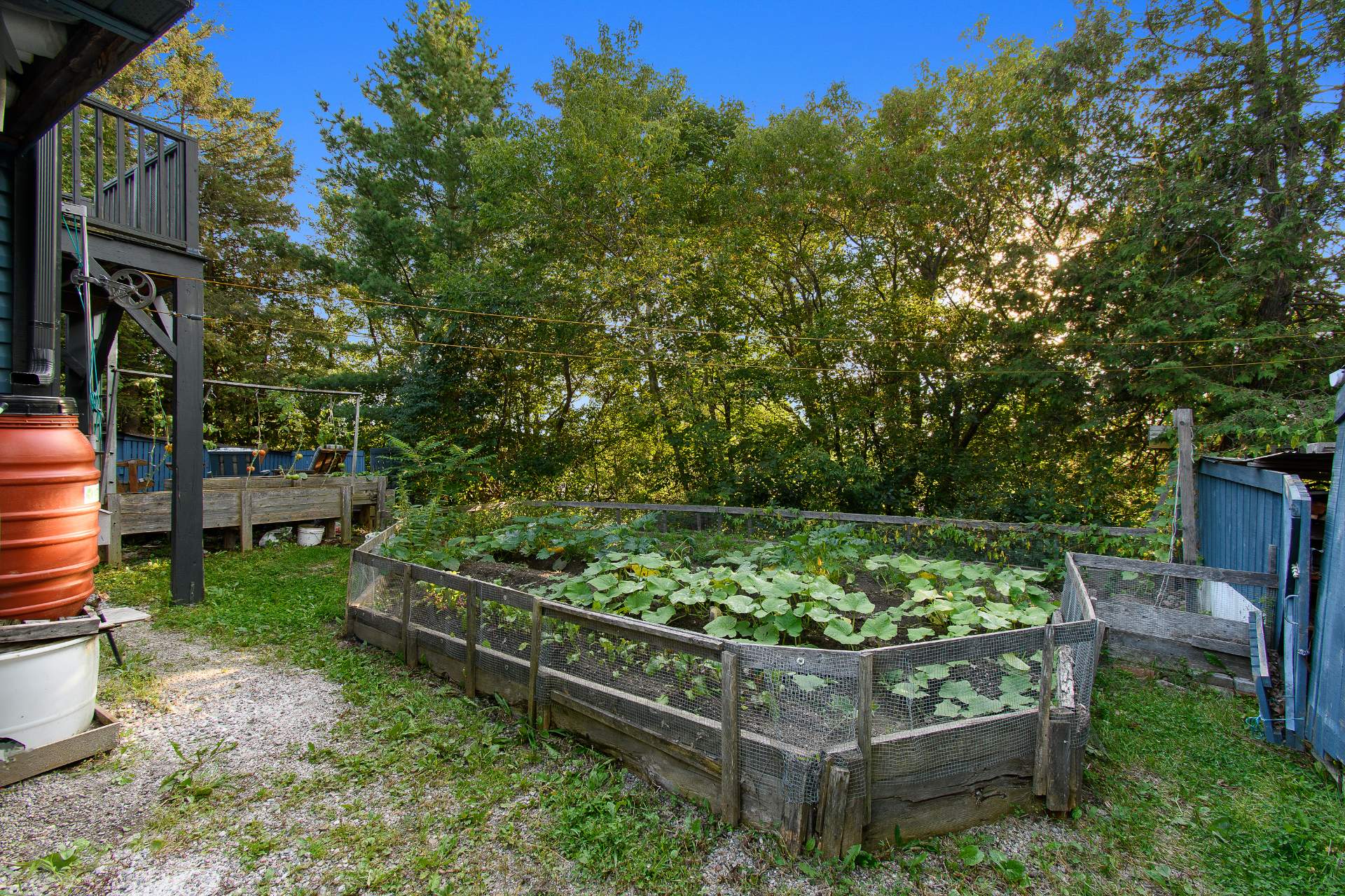 Jardin