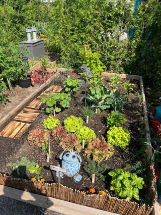 Garden