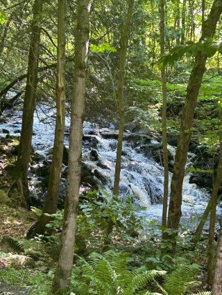 Accès au plan d'eau