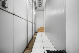 Cave/ chambre froide