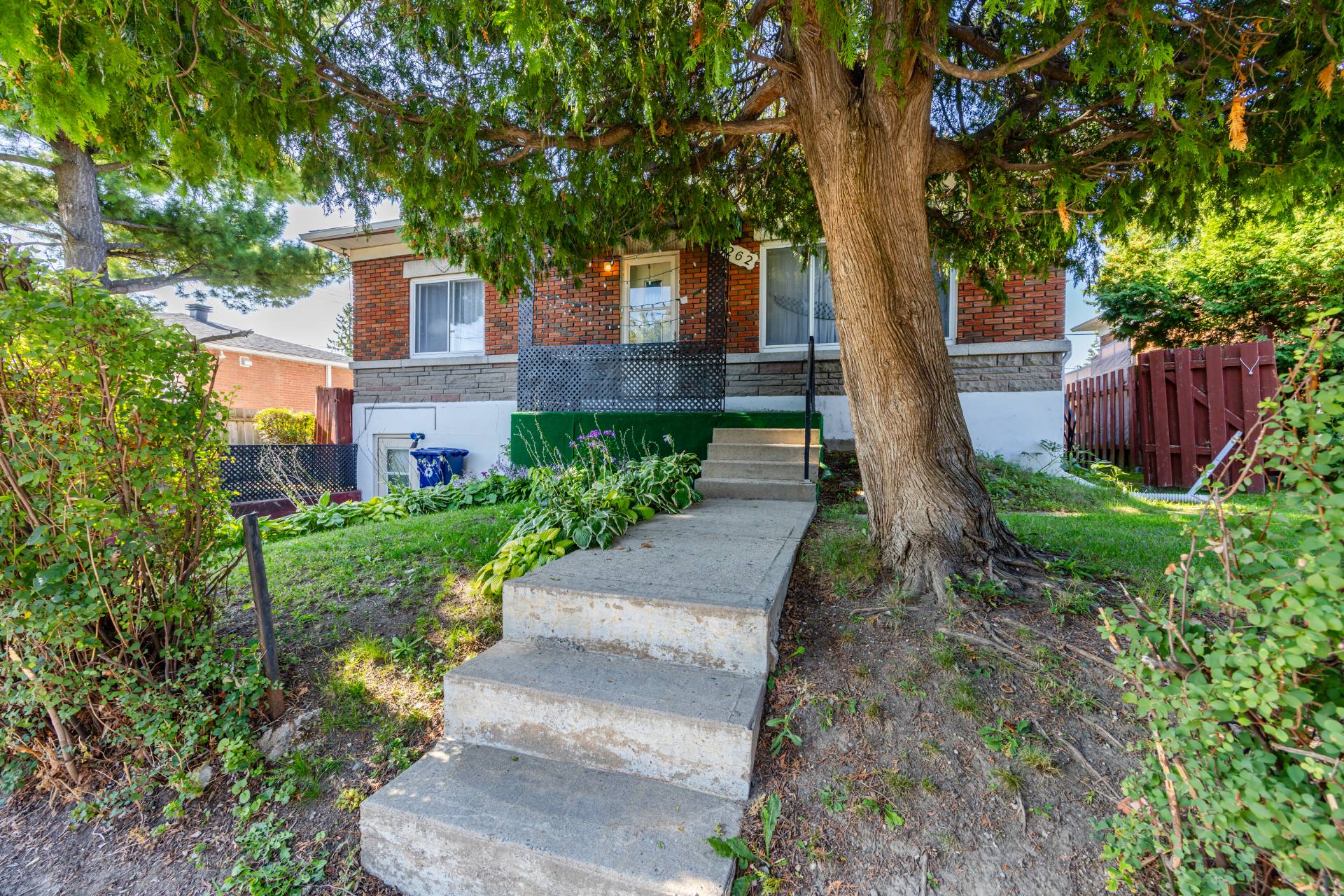 Joelle Bitar / #23046100