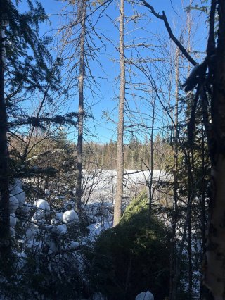 Land/Lot