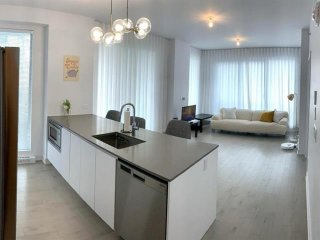 Overall View