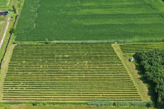 Vue d'ensemble
