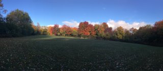Land/Lot