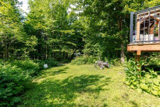 Wooded area