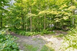 Wooded area