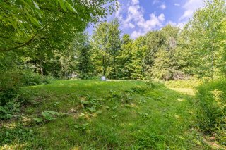 Wooded area