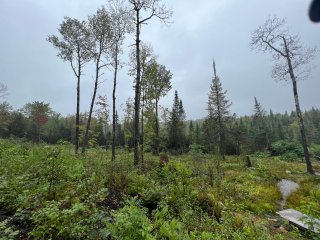 Terre/Terrain