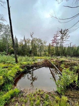 Terre/Terrain