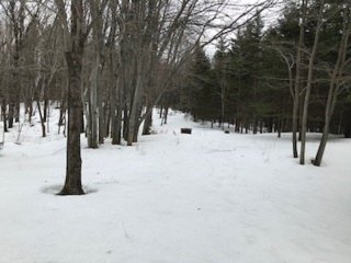 Land/Lot