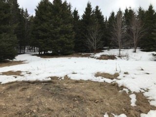 Land/Lot