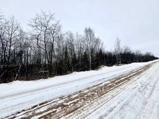 Land/Lot