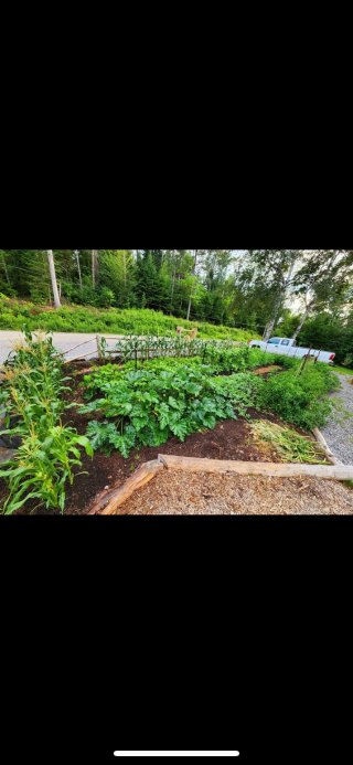 Jardin