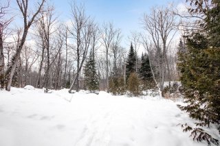 Land/Lot