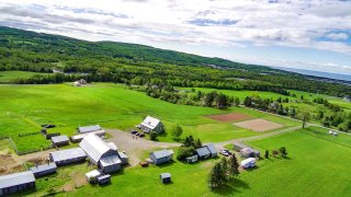 Aerial photo