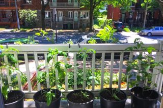 Balcon