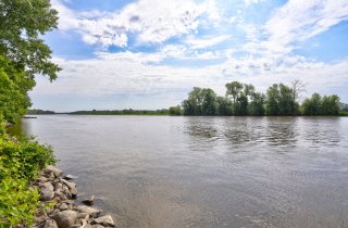 Vue sur l'eau