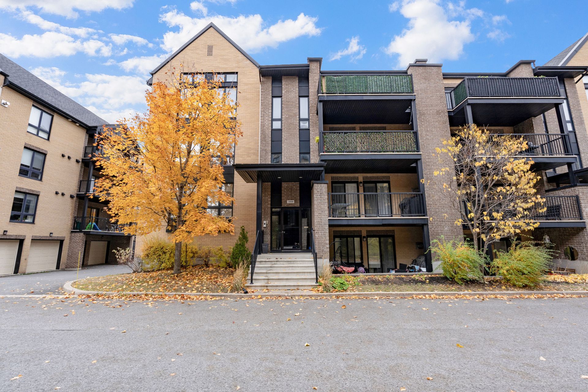 Joelle Bitar / #24652104