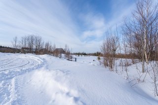 Land/Lot