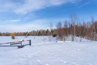 Land/Lot
