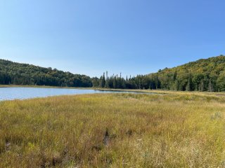 Bord de l'eau