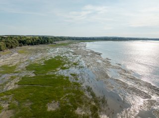 Bord de l'eau