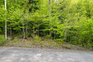Land/Lot