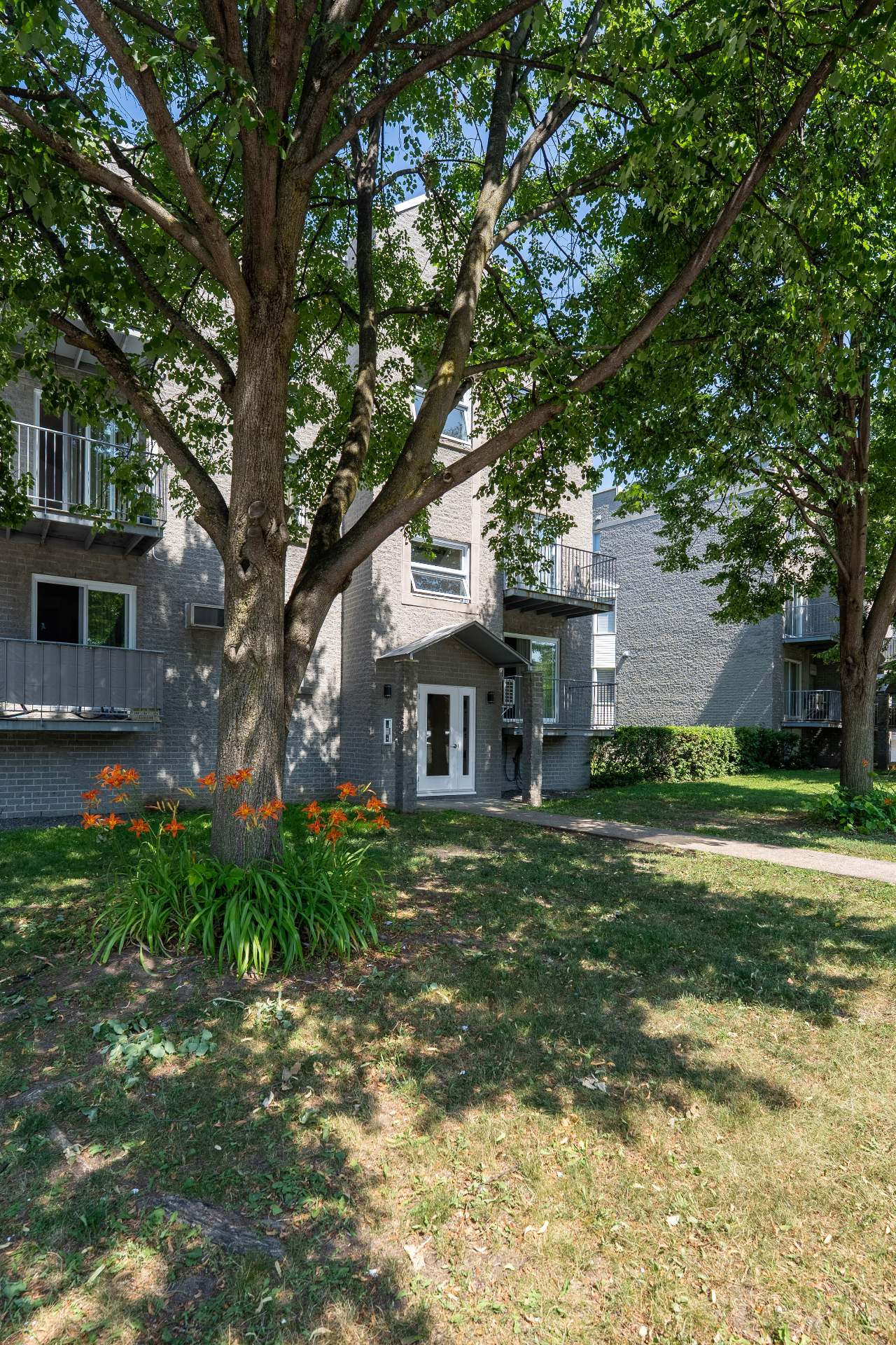 #201 - 7081 Rue St-Zotique E.