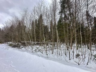 Terre à bois