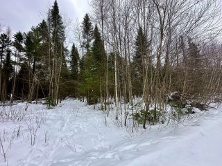 Terre à bois