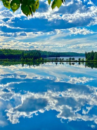 Vue sur l'eau