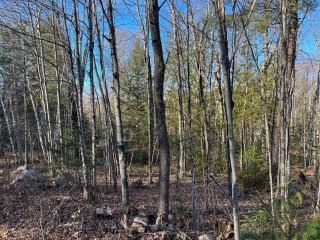 Land/Lot